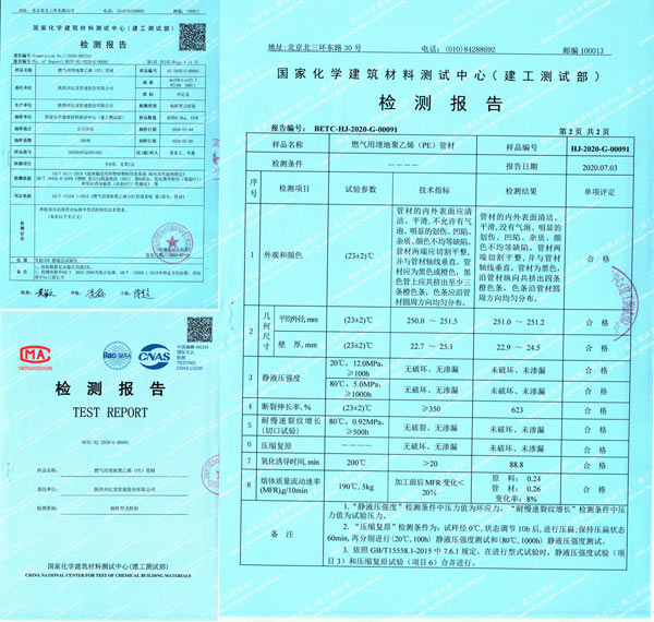 “興紀龍管道”燃氣檢測報告